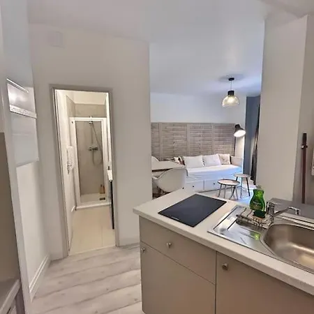 Apartment Le Cocon Toulousain - Jardin Royal Toulouse