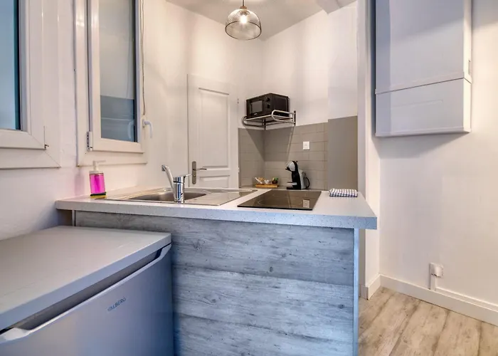 Le Cocon Toulousain - Jardin Royal Appartement